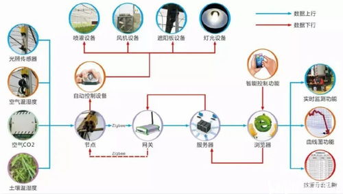 農(nóng)業(yè)物聯(lián)網(wǎng)是什么 有哪些用于農(nóng)業(yè)生產(chǎn)的