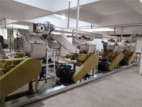 全自動酸漿米線機(jī) 酸漿米線機(jī) 誠瑞達(dá)食品機(jī)械